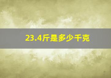 23.4斤是多少千克