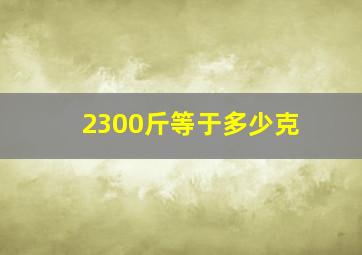 2300斤等于多少克