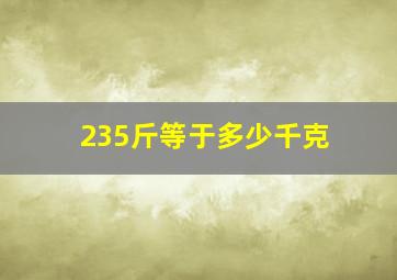 235斤等于多少千克