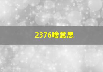 2376啥意思