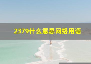 2379什么意思网络用语