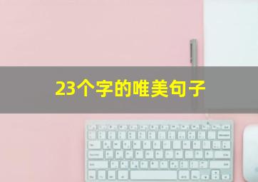 23个字的唯美句子