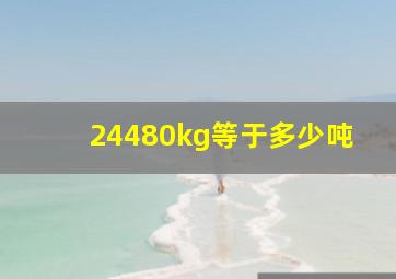 24480kg等于多少吨