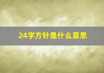 24字方针是什么意思