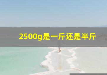 2500g是一斤还是半斤