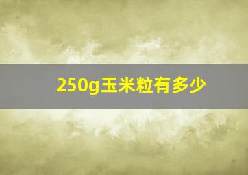 250g玉米粒有多少