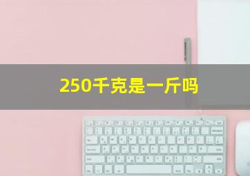 250千克是一斤吗