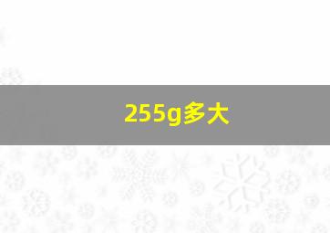 255g多大