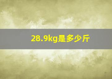 28.9kg是多少斤