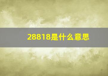 28818是什么意思