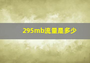 295mb流量是多少