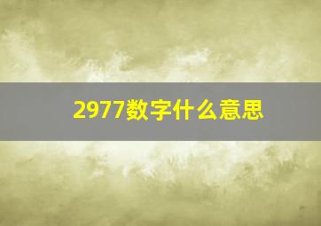 2977数字什么意思