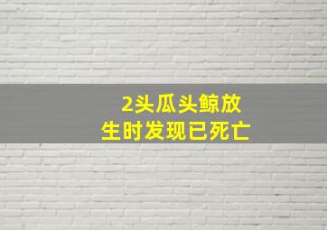 2头瓜头鲸放生时发现已死亡