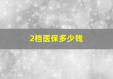 2档医保多少钱