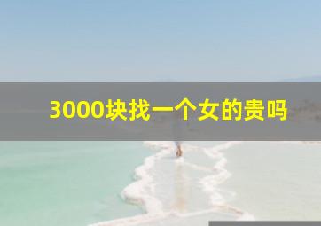 3000块找一个女的贵吗