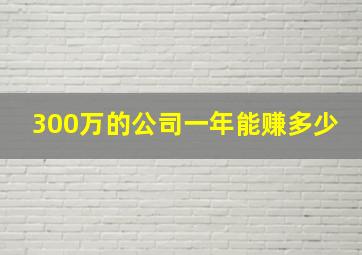 300万的公司一年能赚多少