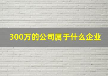 300万的公司属于什么企业