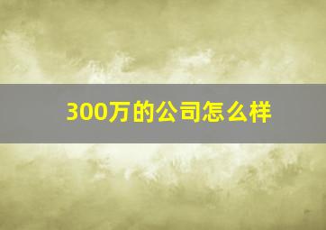 300万的公司怎么样