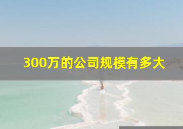 300万的公司规模有多大