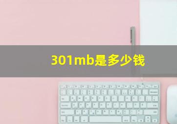 301mb是多少钱