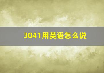 3041用英语怎么说