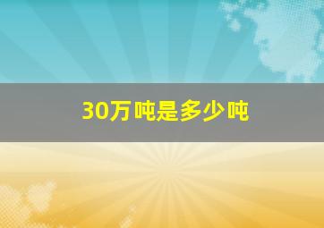 30万吨是多少吨