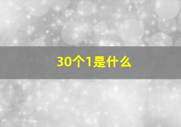 30个1是什么