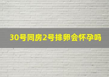 30号同房2号排卵会怀孕吗