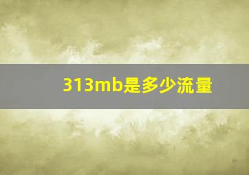 313mb是多少流量