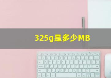 325g是多少MB