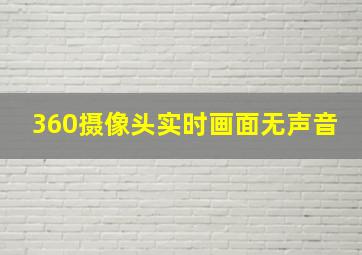 360摄像头实时画面无声音