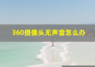 360摄像头无声音怎么办