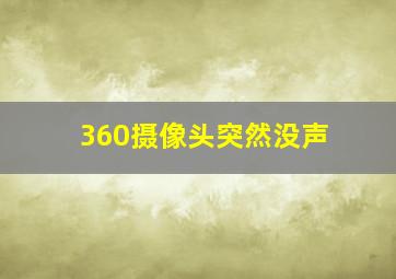 360摄像头突然没声