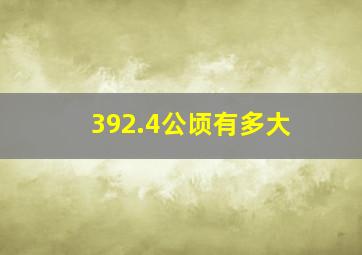 392.4公顷有多大