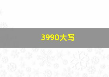 3990大写