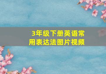 3年级下册英语常用表达法图片视频