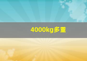 4000kg多重