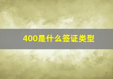 400是什么签证类型