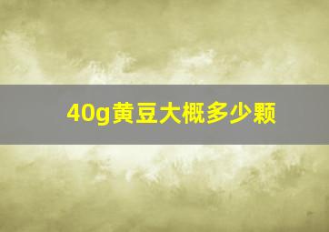 40g黄豆大概多少颗