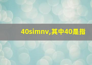 40simnv,其中40是指