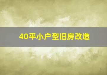 40平小户型旧房改造