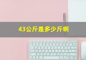 43公斤是多少斤啊