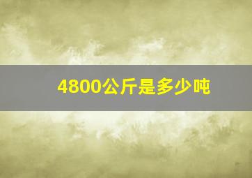 4800公斤是多少吨