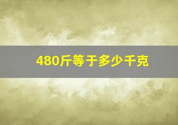 480斤等于多少千克