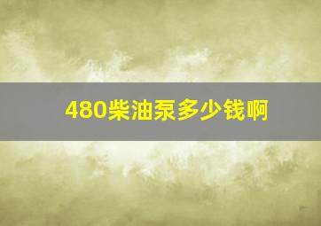 480柴油泵多少钱啊