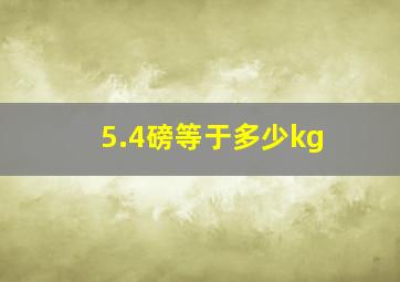 5.4磅等于多少kg