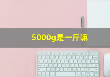 5000g是一斤嘛