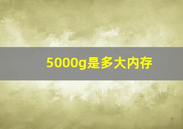 5000g是多大内存