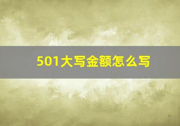 501大写金额怎么写