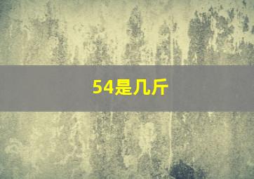 54是几斤